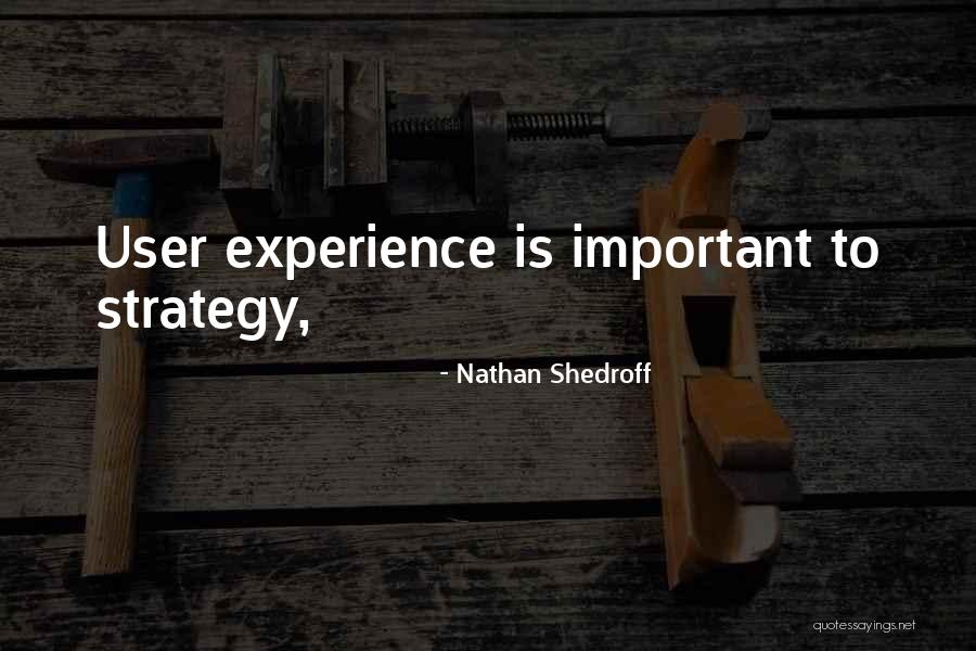 User Experience Quotes By Nathan Shedroff