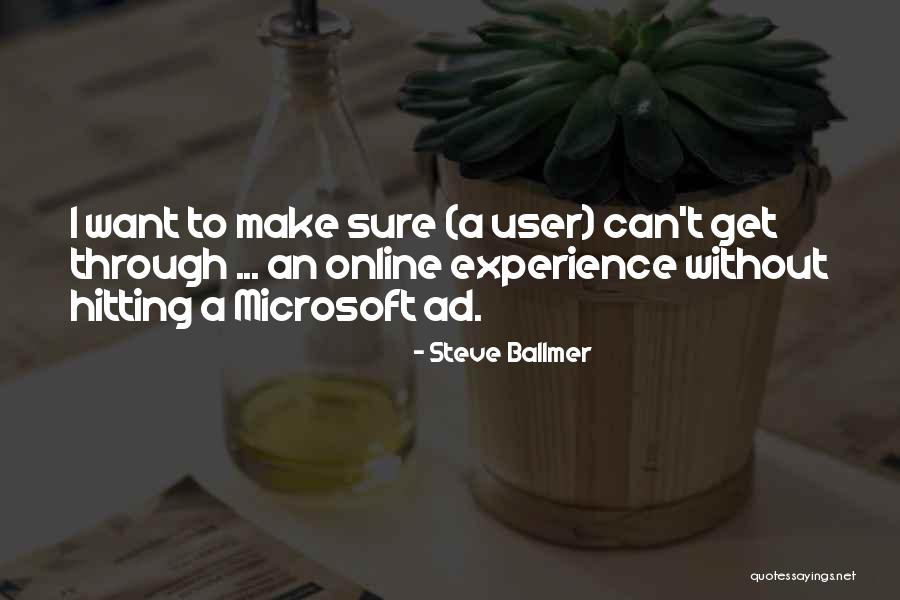 User Experience Quotes By Steve Ballmer