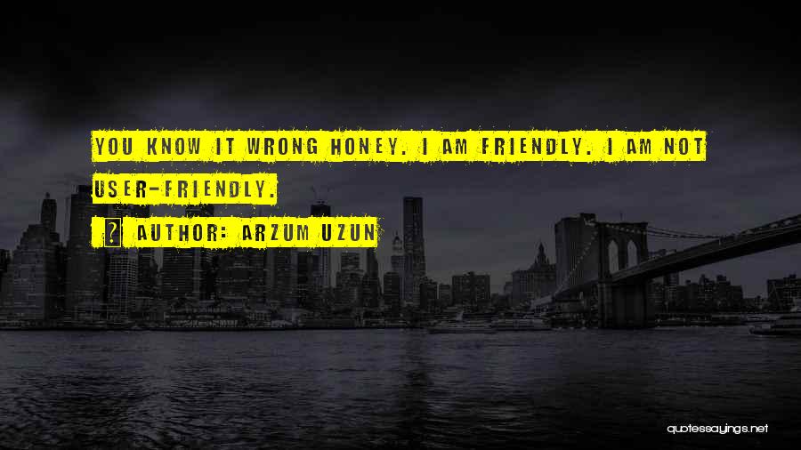 User Friendly Quotes By Arzum Uzun