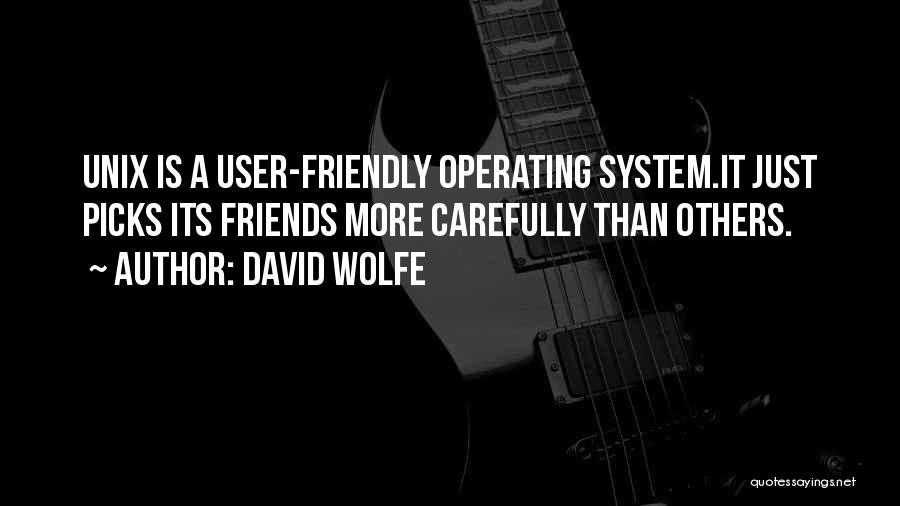 User Friends Quotes By David Wolfe