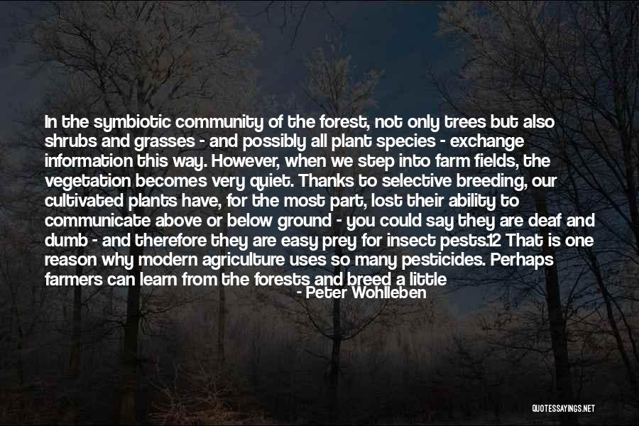 Uses Of Forests Quotes By Peter Wohlleben