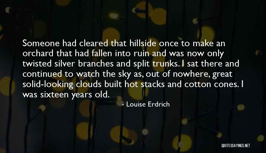 Using A Child To Hurt Other People Quotes By Louise Erdrich Using A Child To Hurt Other People Quotes By Louise Erdrich