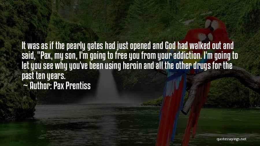 Using Drugs Quotes By Pax Prentiss