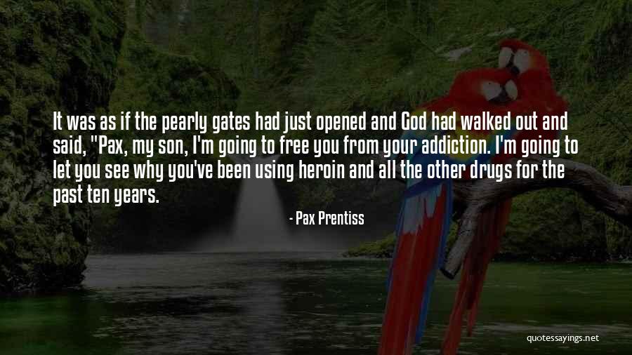 Using Drugs Quotes By Pax Prentiss