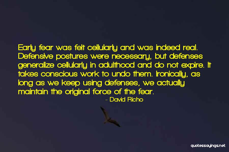 Using Fear Quotes By David Richo Using Fear Quotes By David Richo
