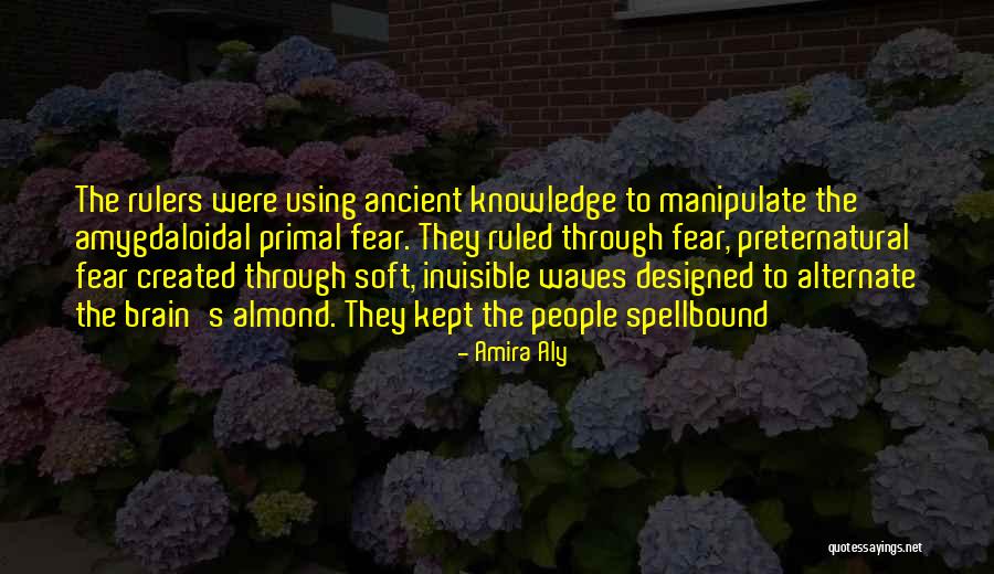 Using Knowledge Quotes By Amira Aly Using Knowledge Quotes By Amira Aly