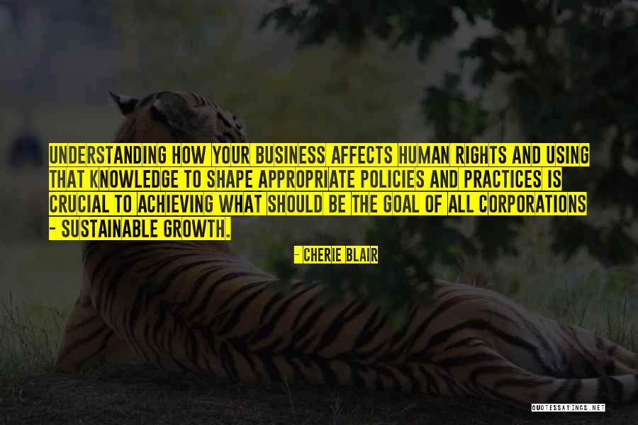 Using Knowledge Quotes By Cherie Blair Using Knowledge Quotes By Cherie Blair