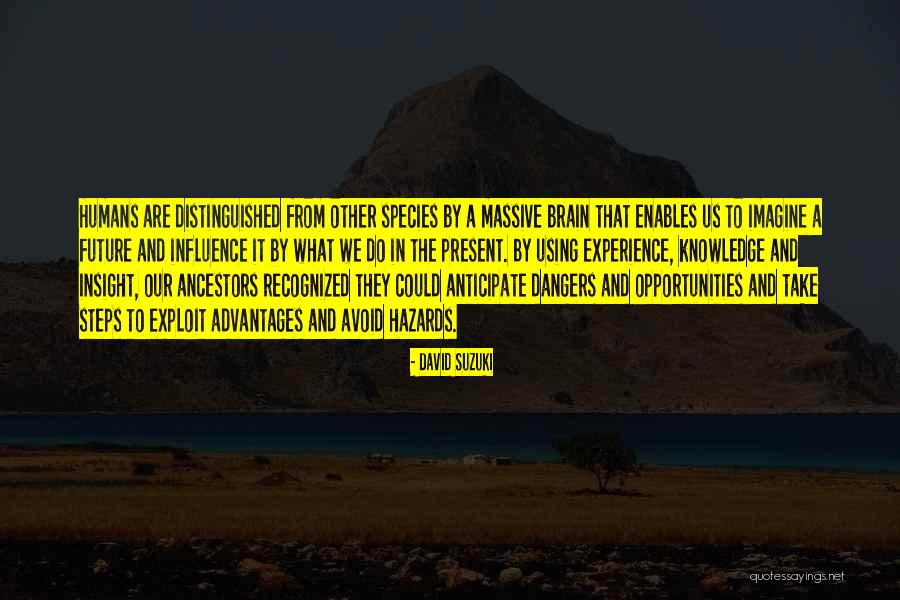Using Knowledge Quotes By David Suzuki Using Knowledge Quotes By David Suzuki