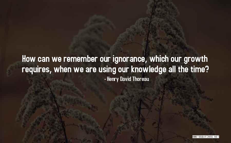 Using Knowledge Quotes By Henry David Thoreau Using Knowledge Quotes By Henry David Thoreau