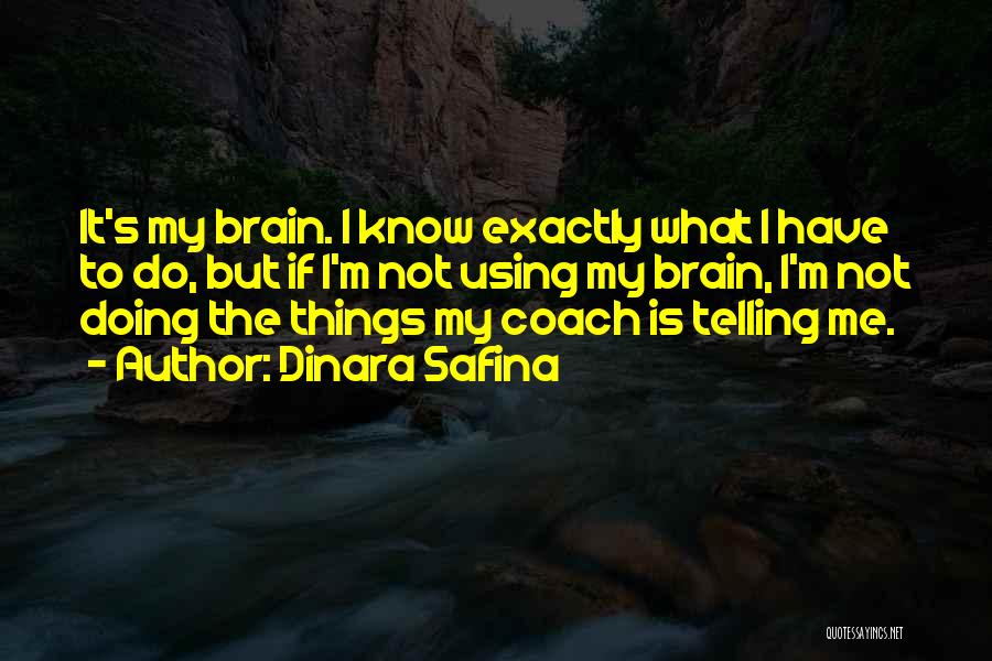 Using Our Brain Quotes By Dinara Safina