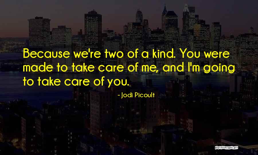 Using Public Domain Quotes By Jodi Picoult Using Public Domain Quotes By Jodi Picoult