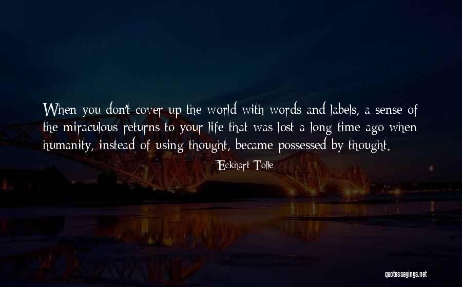 Using Too Many Words Quotes By Eckhart Tolle