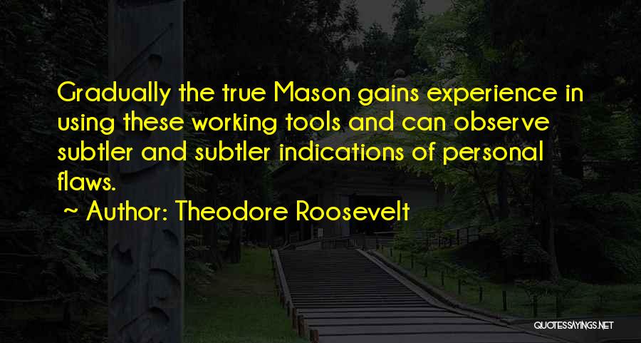 Using Tools Quotes By Theodore Roosevelt