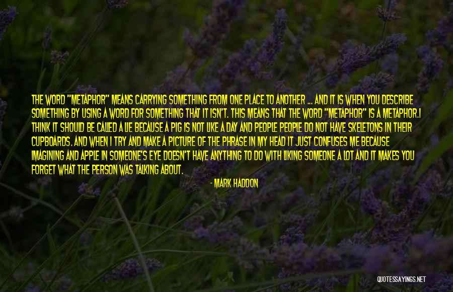 Using What You Have Quotes By Mark Haddon Using What You Have Quotes By Mark Haddon