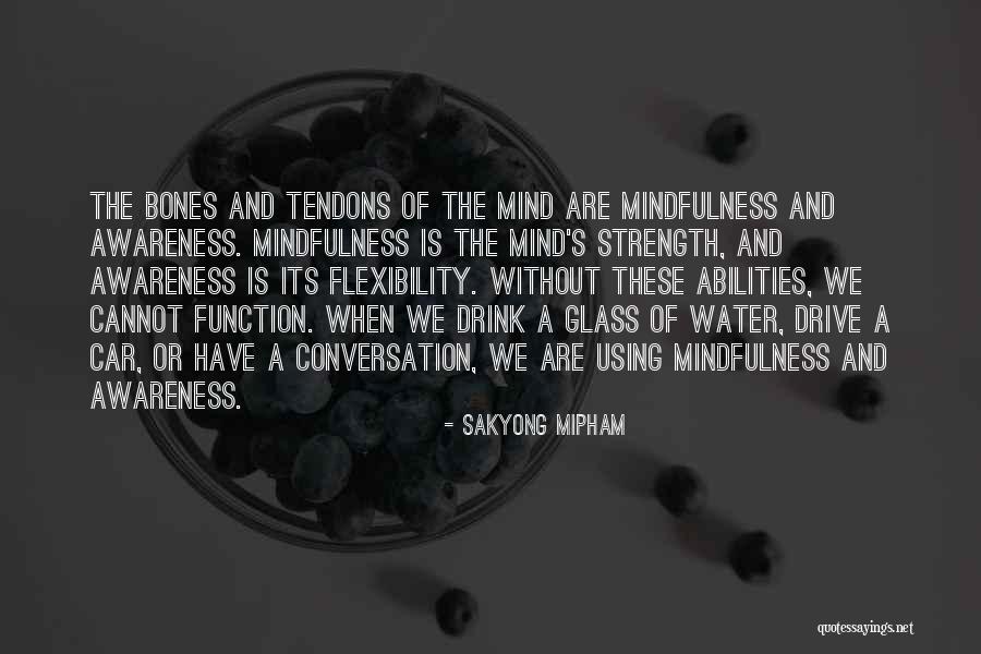 Using Your Abilities Quotes By Sakyong Mipham
