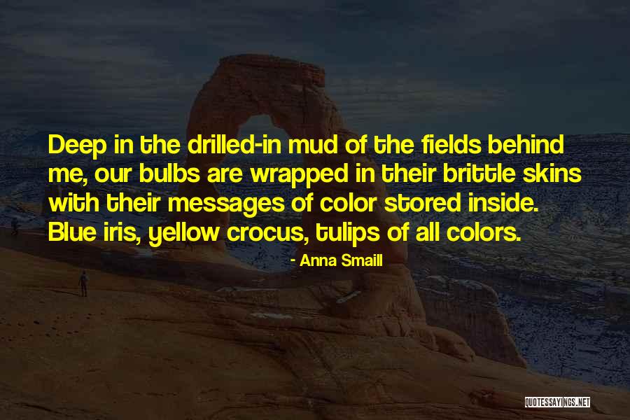 Using Your Child As A Pawn Quotes By Anna Smaill Using Your Child As A Pawn Quotes By Anna Smaill