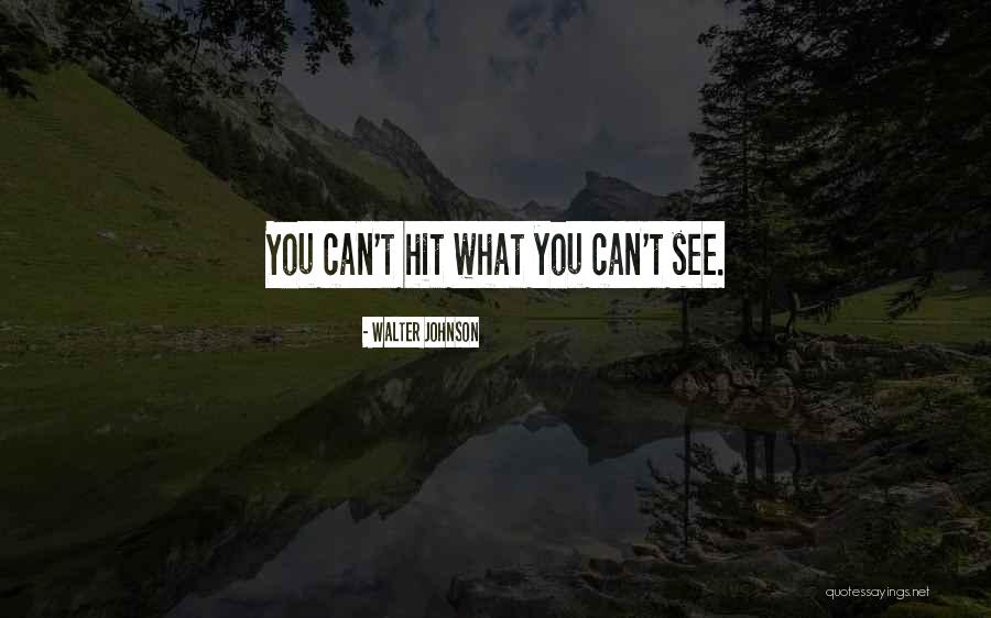 Usput Aiming Quotes By Walter Johnson Usput Aiming Quotes By Walter Johnson