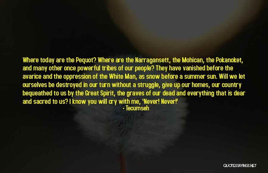 Ustanoven Quotes By Tecumseh Ustanoven Quotes By Tecumseh