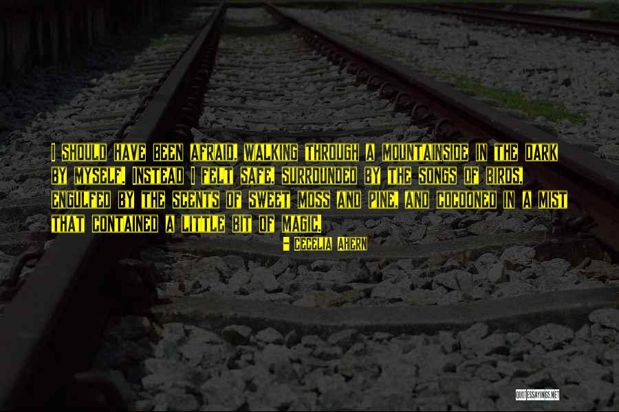 Usted Commands Quotes By Cecelia Ahern Usted Commands Quotes By Cecelia Ahern