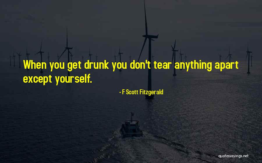 Ustimenko Injury Quotes By F Scott Fitzgerald Ustimenko Injury Quotes By F Scott Fitzgerald