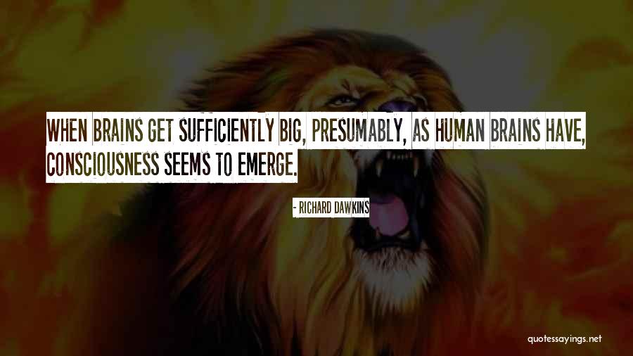 Ustocktrade Quotes By Richard Dawkins Ustocktrade Quotes By Richard Dawkins