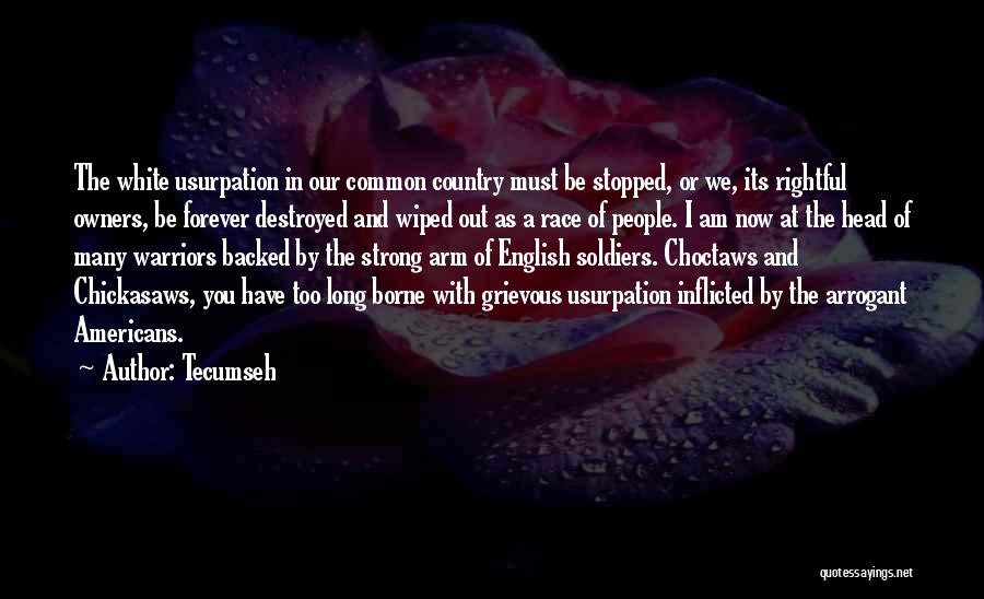 Usurpation Quotes By Tecumseh