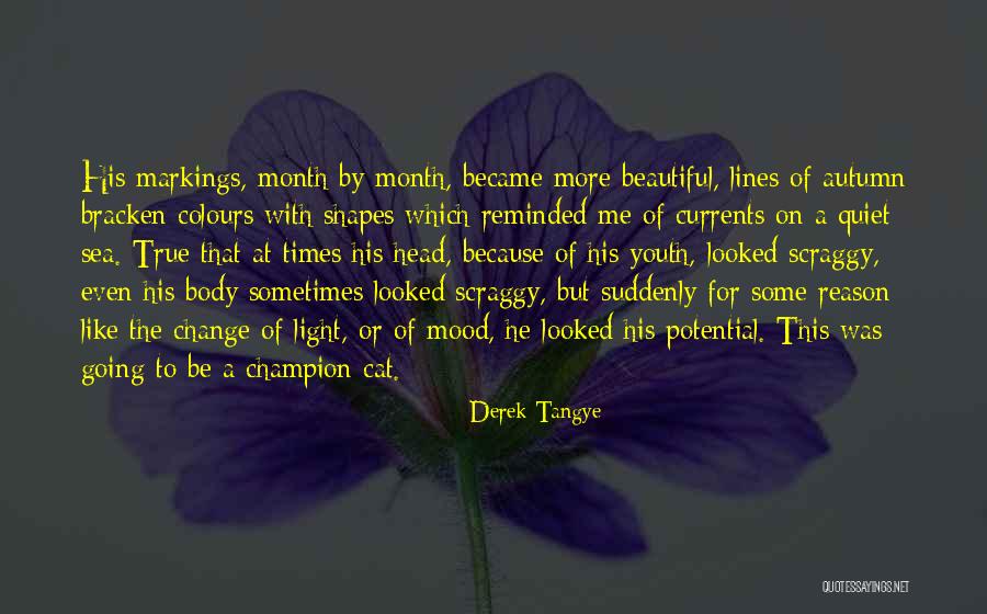 Usurped Def Quotes By Derek Tangye Usurped Def Quotes By Derek Tangye