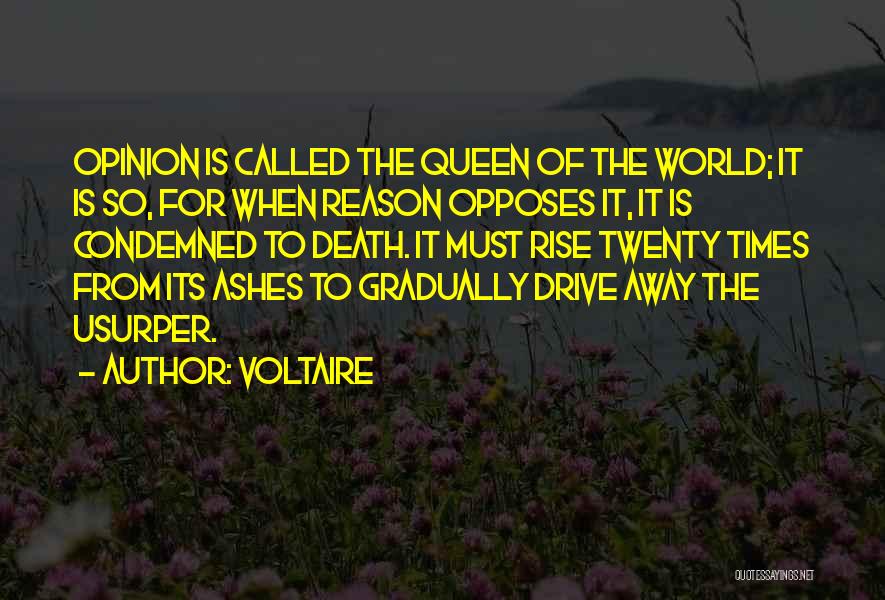 Usurpers Quotes By Voltaire