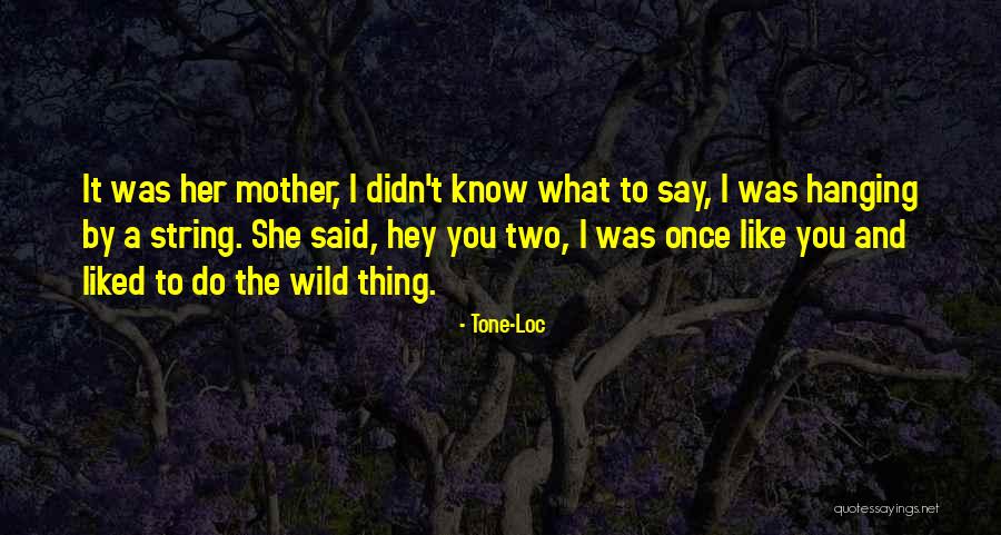 Usvojiteljske Quotes By Tone-Loc Usvojiteljske Quotes By Tone-Loc