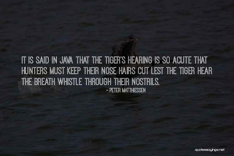 Usyd Canvas Quotes By Peter Matthiessen Usyd Canvas Quotes By Peter Matthiessen