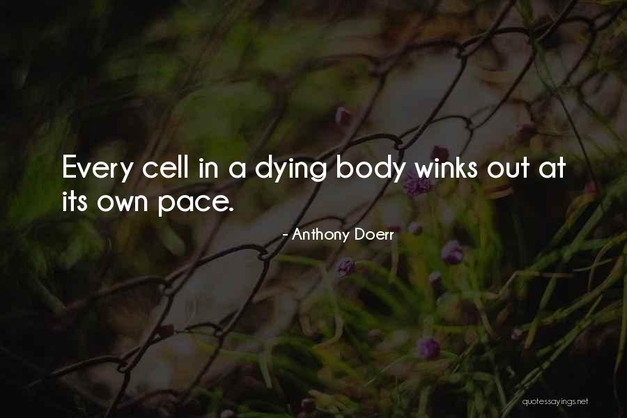Ut Citrix Quotes By Anthony Doerr Ut Citrix Quotes By Anthony Doerr
