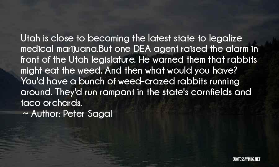 Utah State Quotes By Peter Sagal
