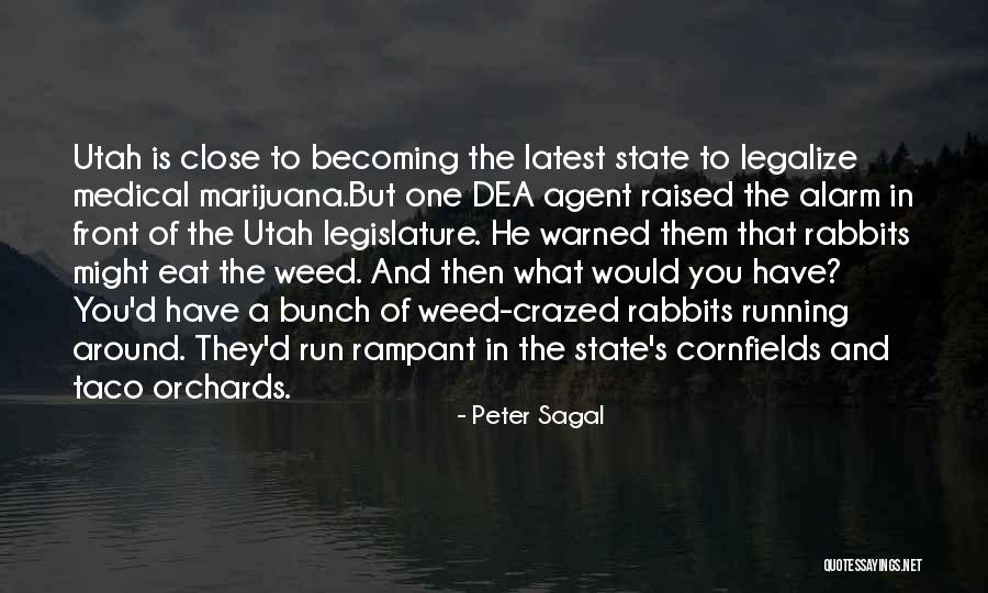Utah State Quotes By Peter Sagal Utah State Quotes By Peter Sagal