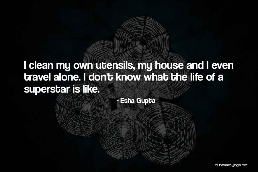 Utensils Quotes By Esha Gupta Utensils Quotes By Esha Gupta