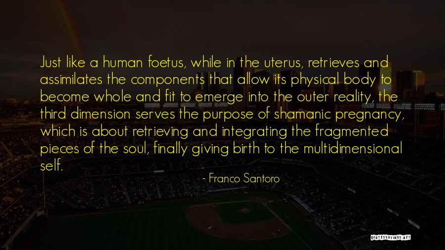 Uterus Quotes By Franco Santoro Uterus Quotes By Franco Santoro
