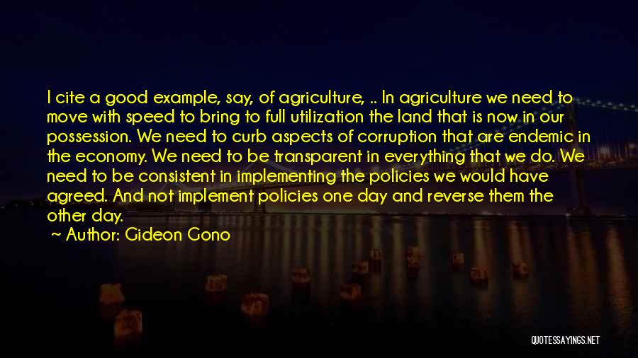 Utilization Quotes By Gideon Gono