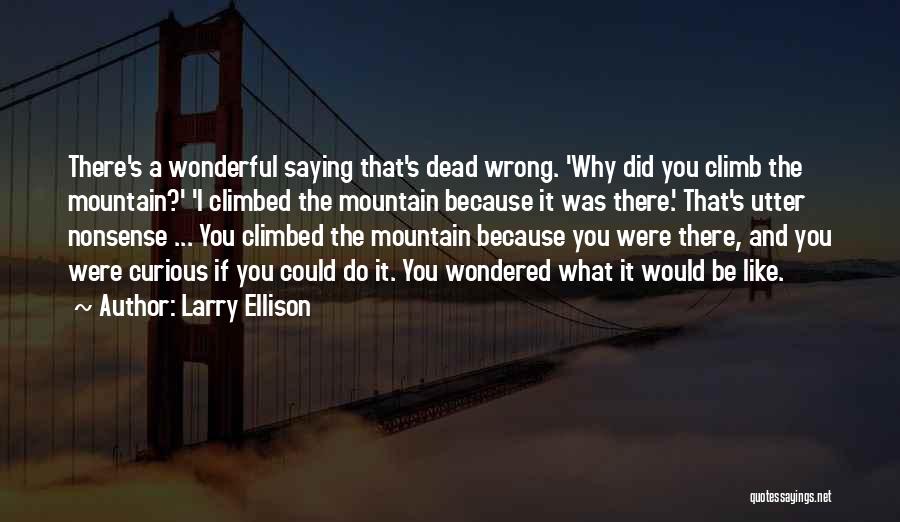 Utter Nonsense Quotes By Larry Ellison