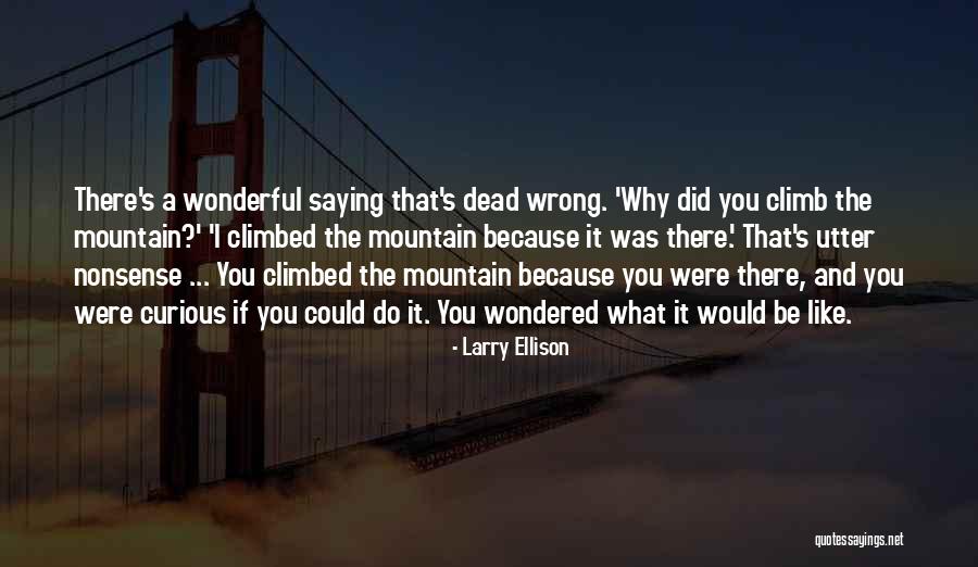 Utter Nonsense Quotes By Larry Ellison