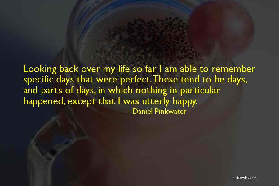 Utterly Happy Quotes By Daniel Pinkwater