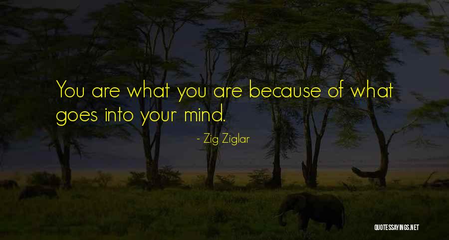 Uvaol Quotes By Zig Ziglar Uvaol Quotes By Zig Ziglar