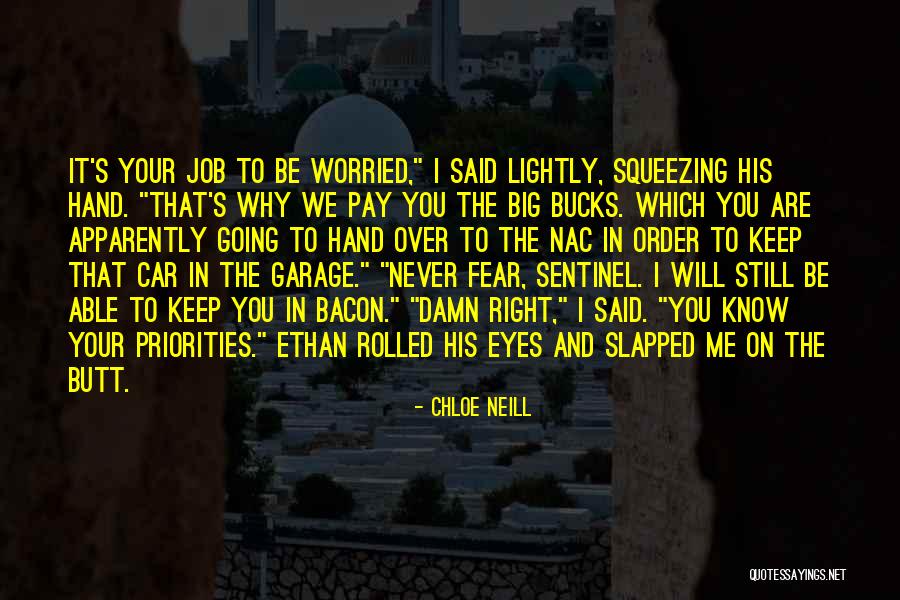 Uvjerenje Quotes By Chloe Neill Uvjerenje Quotes By Chloe Neill
