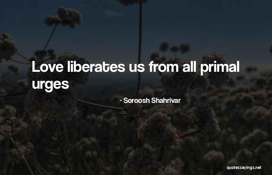 Uvredljivi Quotes By Soroosh Shahrivar Uvredljivi Quotes By Soroosh Shahrivar