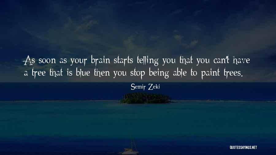 Uznai Quotes By Semir Zeki Uznai Quotes By Semir Zeki