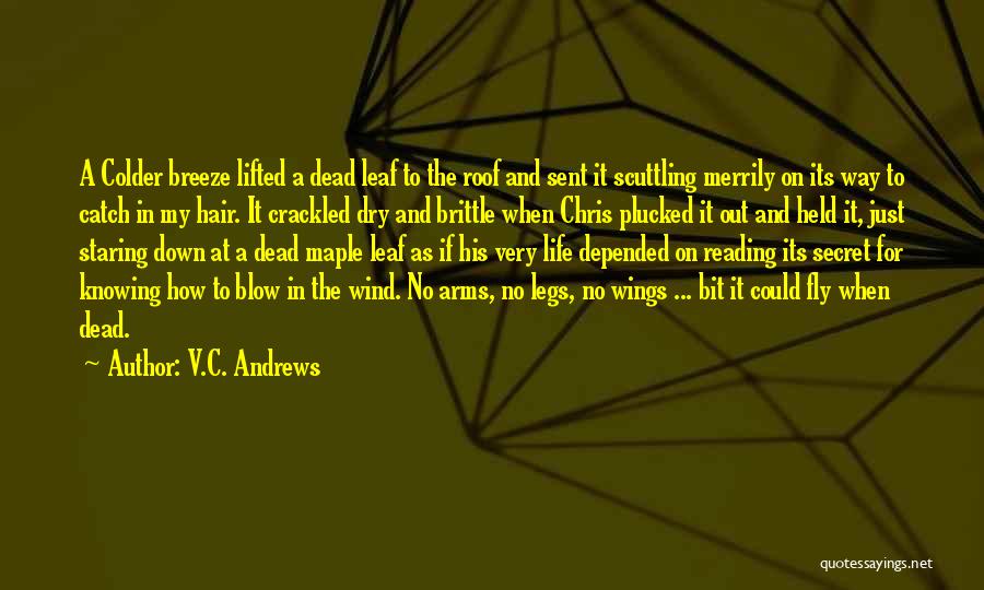 V.C. Andrews Quotes 1314011