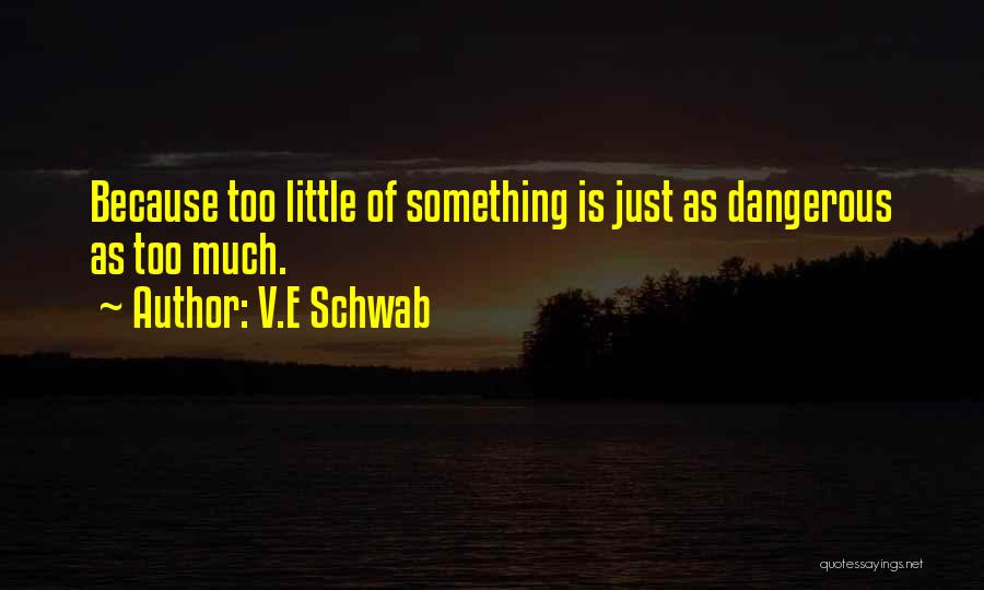 V.E Schwab Quotes 229076