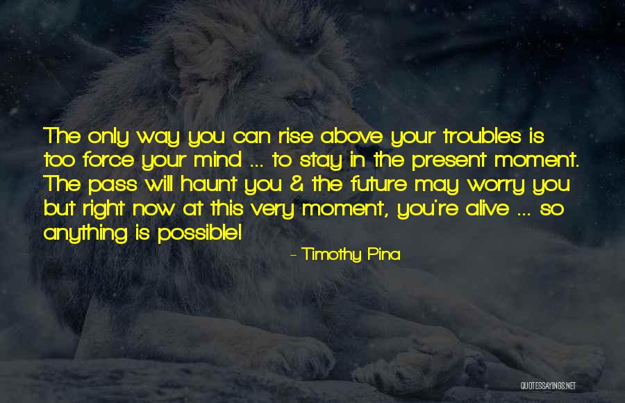 V Gyak Szigete Quotes By Timothy Pina V Gyak Szigete Quotes By Timothy Pina