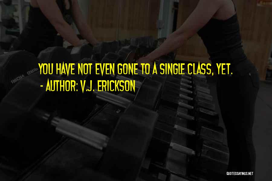 V.J. Erickson Quotes 293100