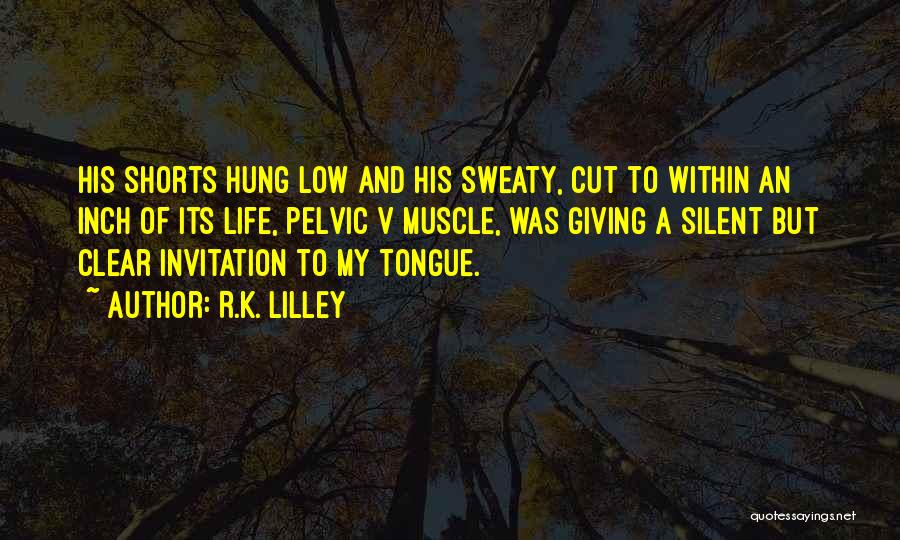 V.k Quotes By R.K. Lilley