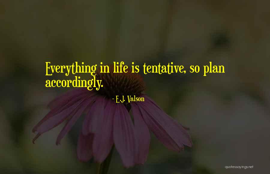 V P N Quotes By E.J. Valson