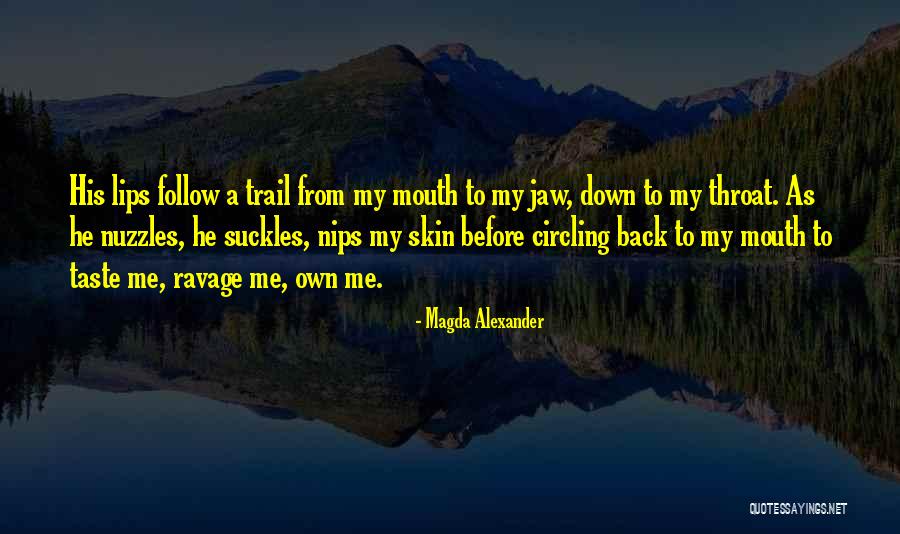 V P N Quotes By Magda Alexander